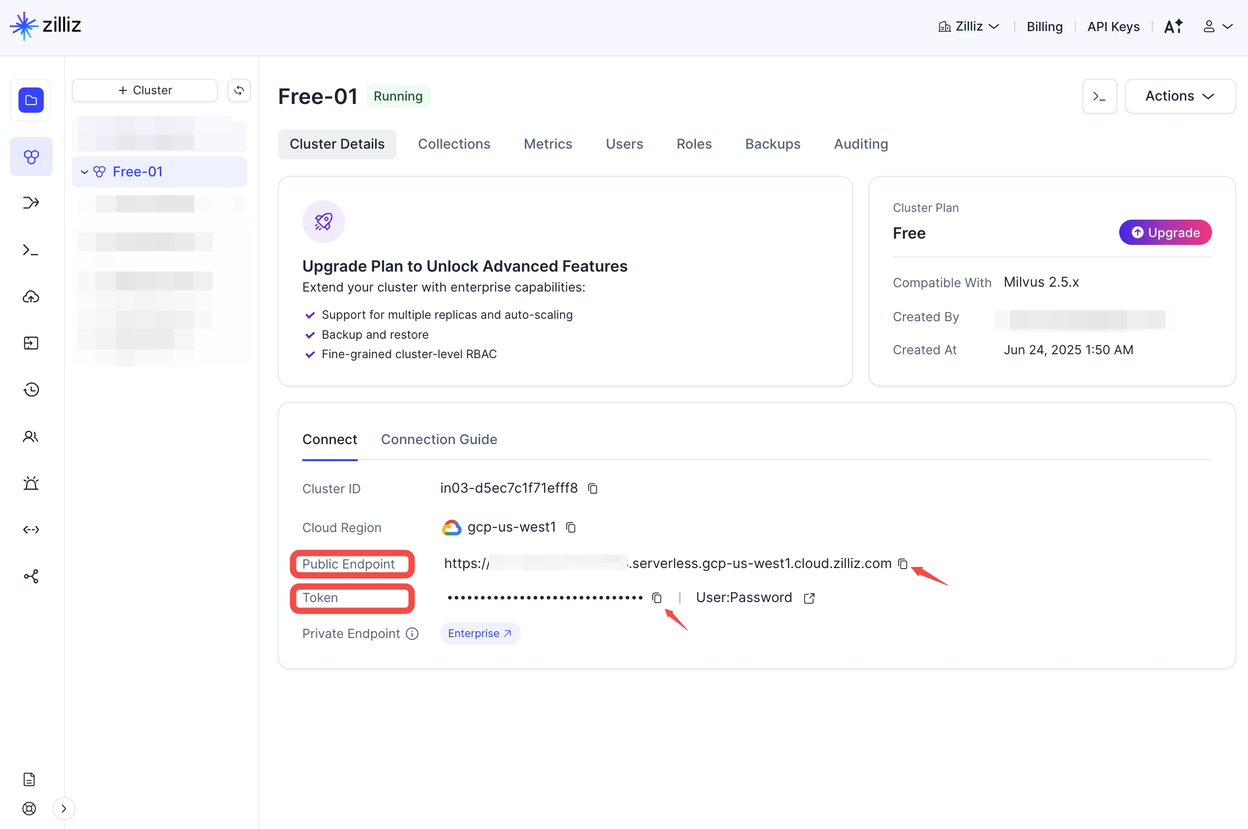 Zilliz Cloud Dashboard